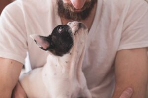 Bulldog francese e proprietario del cane